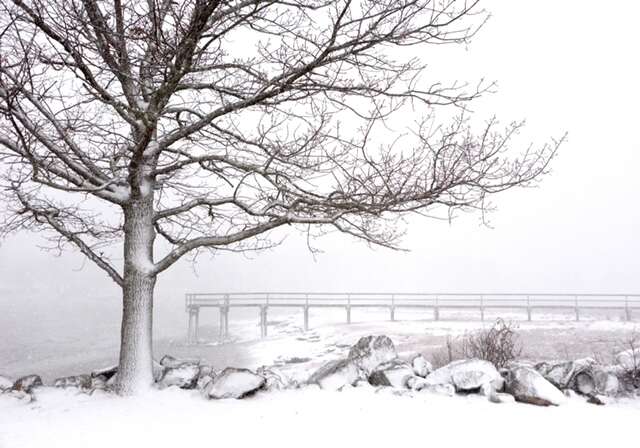 Main community photo